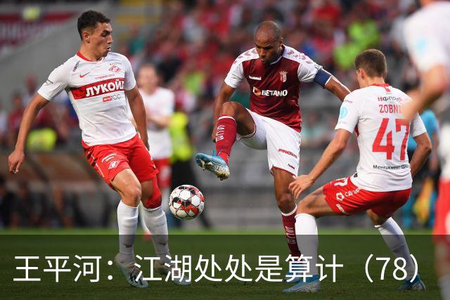 王平河：江湖处处是算计（7/8）